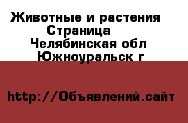  Животные и растения - Страница 10 . Челябинская обл.,Южноуральск г.